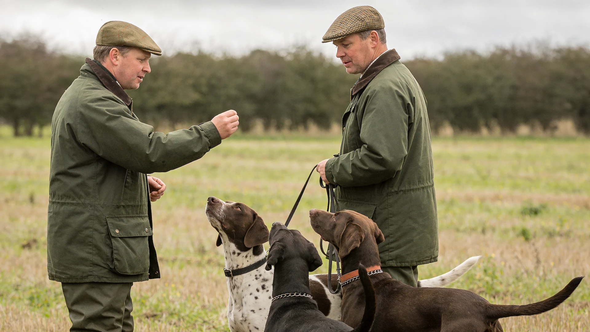 Regelmäßige Trainingseinheiten der Jagdhundegruppe Haßfurt